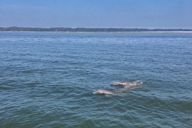 Hilton Head Morning Dolphins & Donuts Cruise - Tips for Participants