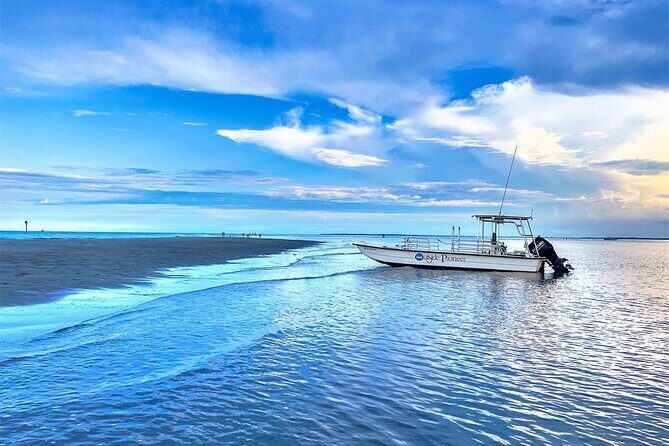 Hilton Head Vanishing Island & Beachcombing Cruise - Exploring Hilton Head’s Vanishing Island & Beachcombing Cruise: A Complete Guide