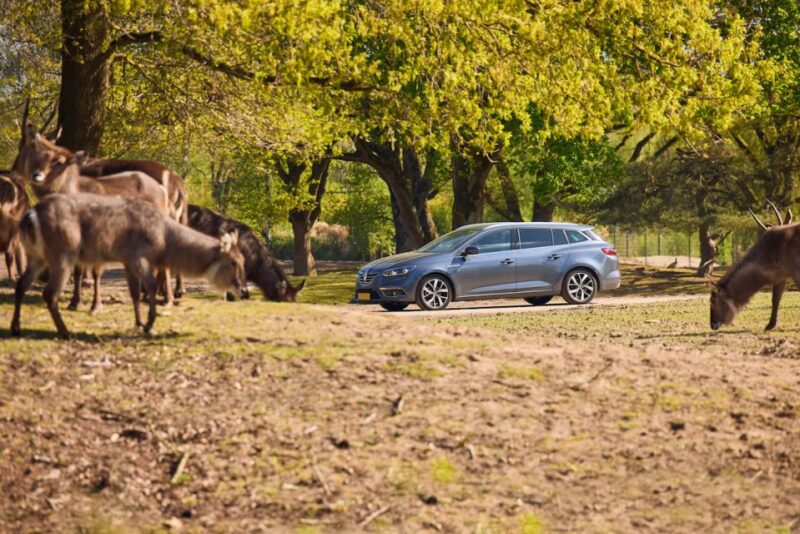 Hilvarenbeek: Beekse Bergen Safari Park Entry Ticket - Wildlife Viewing Highlights