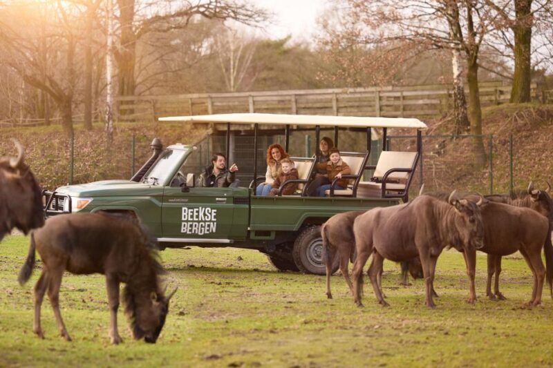 Hilvarenbeek: Beekse Bergen Safari Park Entry Ticket - Accessibility Features