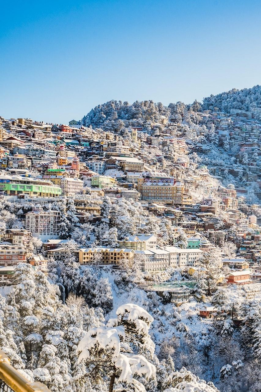 Himachal Delights: A Journey Through Shimla and Manali - Guided Tours and Activities