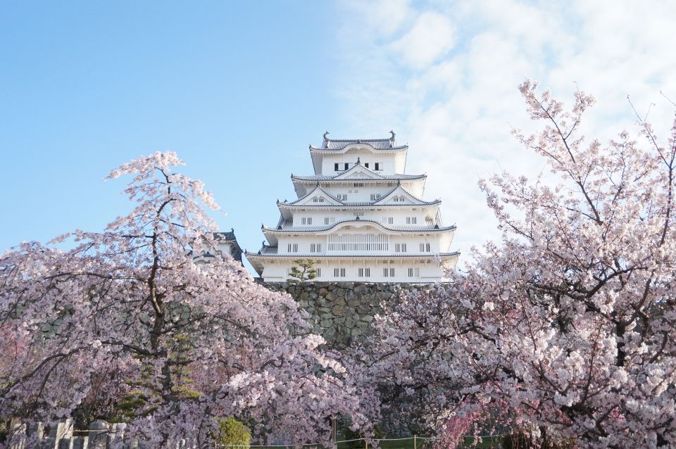 Himeji: 1 or 2 Day Car Rental - Pickup Location