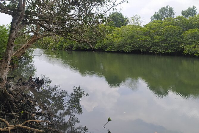 Hinterland Cycling Tour, Havelock - Pricing and Cancellation Policy