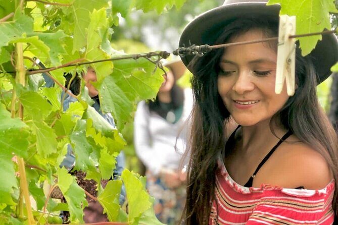 Hinterland Heritage Wine Tour - Who Should Consider This Tour?