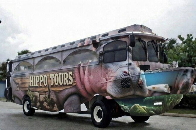 Hippo Splash Amphibious Tour in Cozumel - Who This Tour Suits Best
