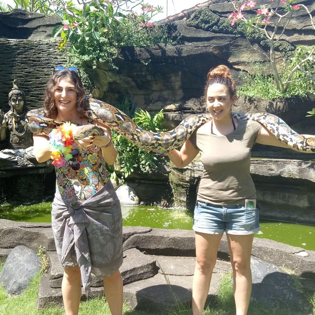 Hire Bali Driver As Your Guide - Important Information