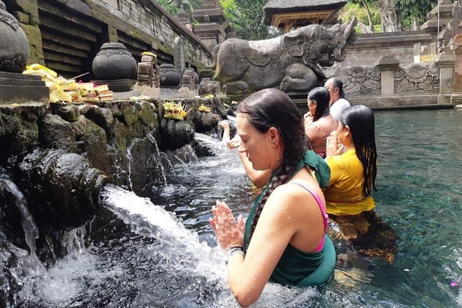 Hire Bali Trip Driver - Pricing and Group Options