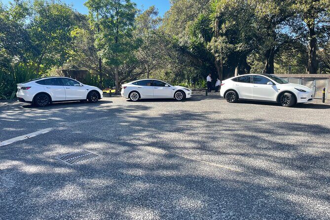 Hire Car and Limousine Service - An In-Depth Look at the Service