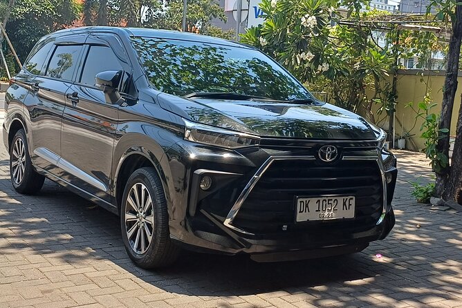 Hire Car With Driver in Bali - Inclusions