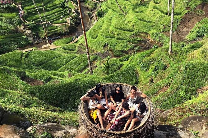 Hired Bali Private Driver - Included Amenities and Features