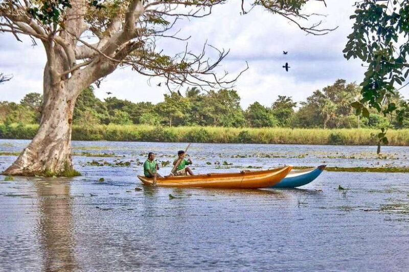 Hiriwadunna: Fishing & Cooking experience from Habarana - Discovering a Day in Hiriwadunna