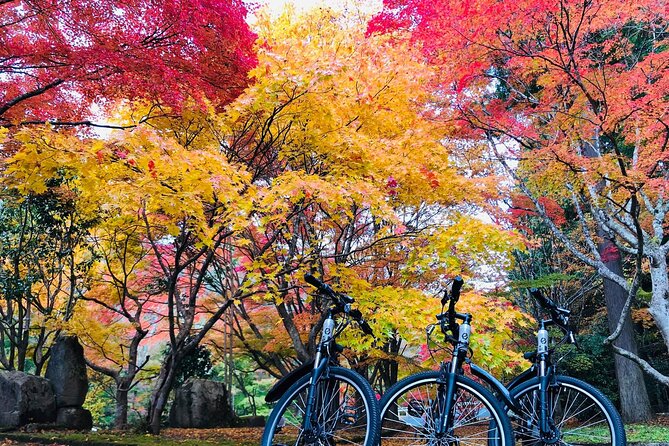 Hiroshima Country Cycling: Explore Rural Life 1 HR From the City - Meeting Details