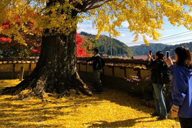 Hiroshima Country Cycling: Explore Rural Life 1 HR From the City - Traveler Feedback