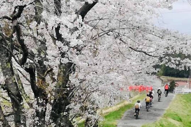 Hiroshima Country Cycling: Explore Rural Life 1 HR From the City - Unique Experiences