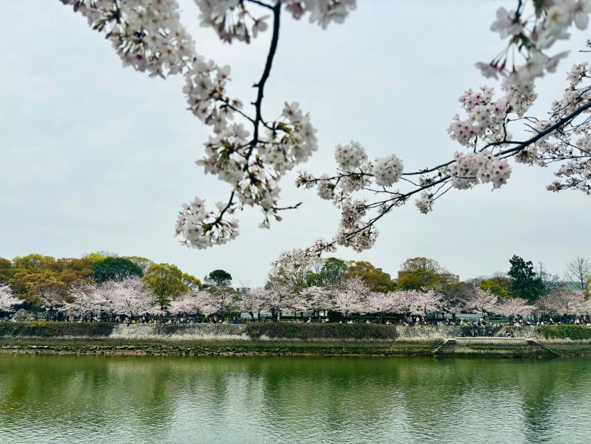 Hiroshima: History of Hiroshima Private Walking Tour - Exploring the Peace Memorial Museum