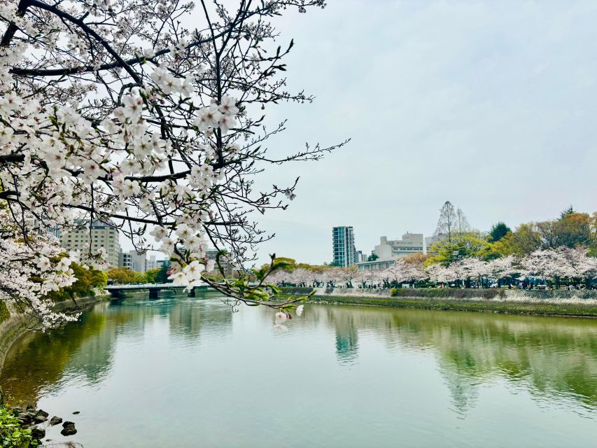 Hiroshima: History of Hiroshima Private Walking Tour - Discovering the Atomic Bomb Dome
