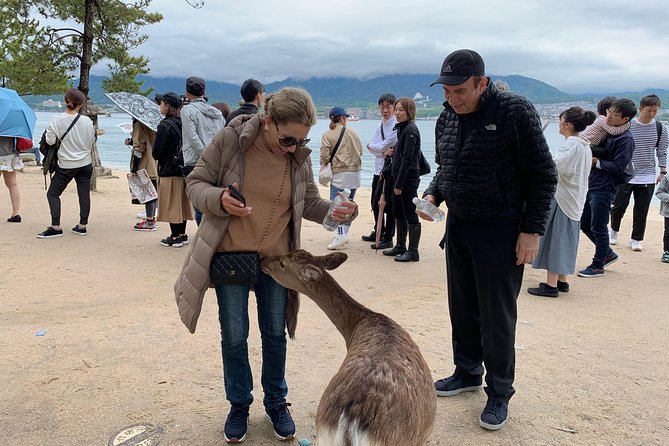 Hiroshima / Miyajima Full-Day Private Tour With Government Licensed Guide - Exploring Miyajima Island