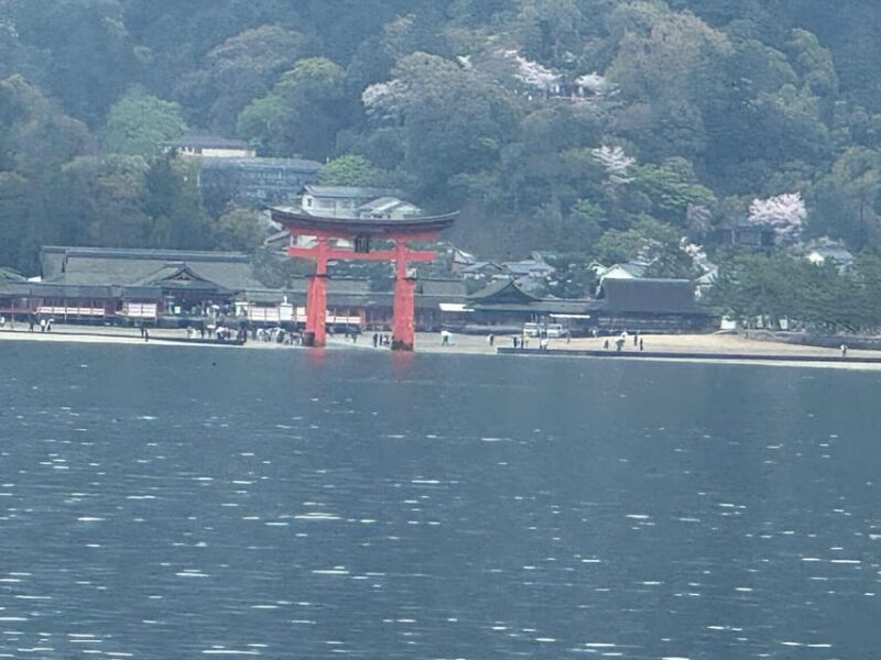 Hiroshima Miyajima Park - Booking Your Experience
