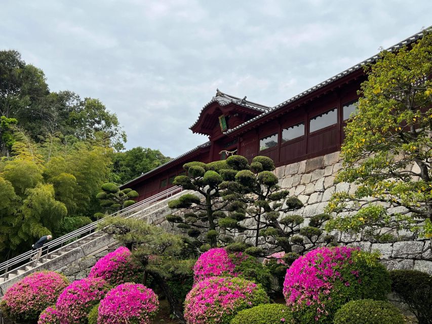 Hiroshima: Morning Hike Tour With Open-Air Tea Ceremony - Savoring an Open-air Tea Ceremony