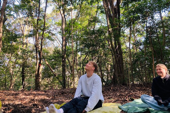 Hiroshima Spring Morning Hike Tour & Open-air Tea Ceremony - Tour Accessibility