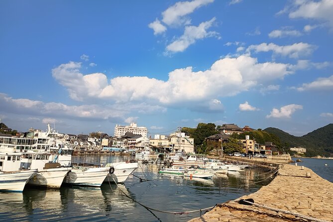 Hiroshima: Tomonoura Nostalgic Port Town Private Tour With Local - Experiencing the Unique Blend of Past and Present