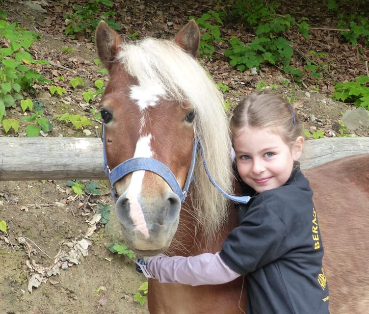 Hirschburg: Day at the stables - A Day at the Stables — What You Can Expect 