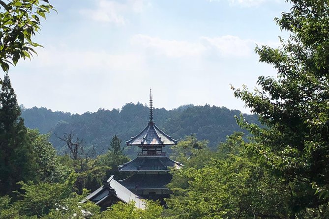 Historic and Natural Guided Hike in Yoshino - Uncovering the Regions Unique Flora and Fauna