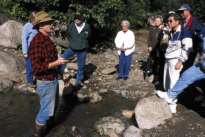Historic Gold Mining and Panning Adventure - Customer Experiences and Feedback