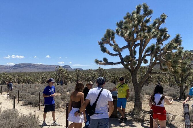 Historic Grand Canyon Western Ranch by Bus with Helicopter Tour - An In-Depth Look at the Tour