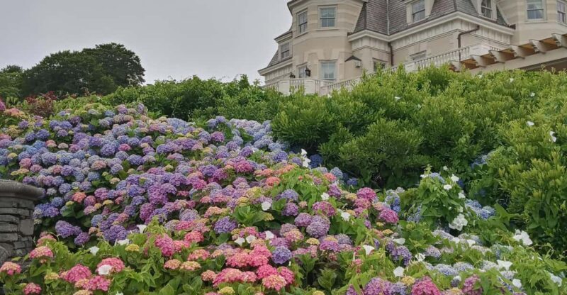 Historic Highlights of Newport,RI with with the Gilded Age - Why This Tour Offers Value