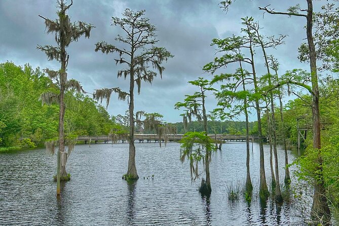 Historic Mobile and Bellingrath Garden Tour Review - Notable Attractions