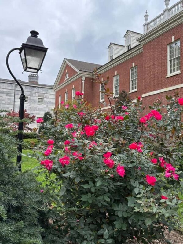 Historic Philly for Kids Ages 5-12 - Who Will Love This Tour?