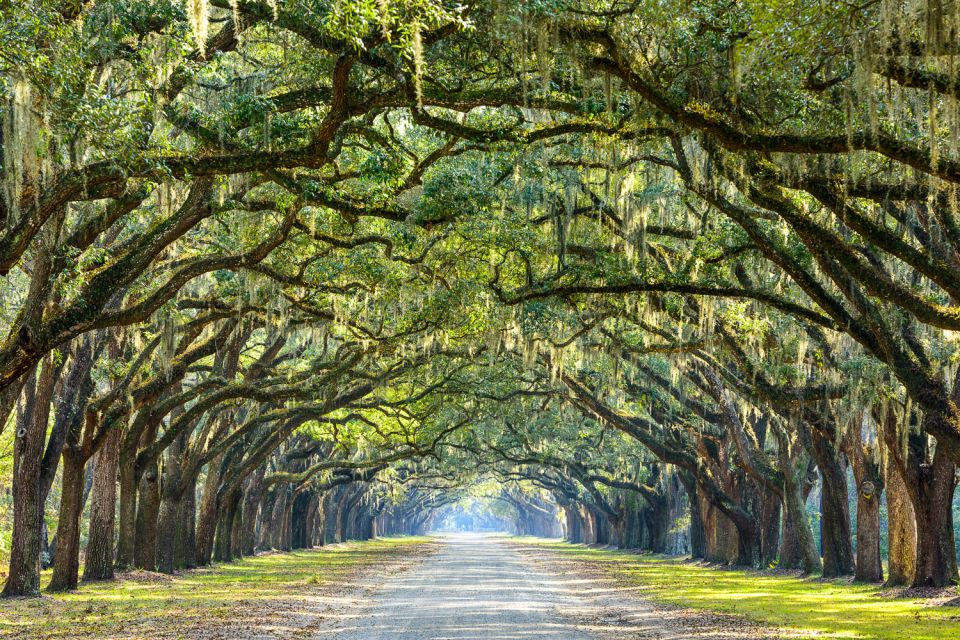 Historic Savannah Walking Tour - Customer Reviews