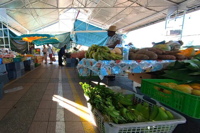 Historical and Panoramic Tour along Caribbean Coast and in Tropical Forest - Frequently Asked Questions