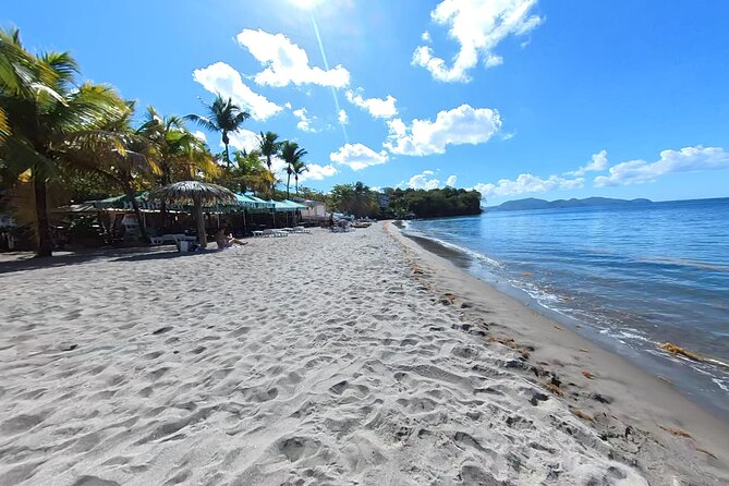 Historical and Panoramic Tour Along Caribbean Coast and in Tropical Forest - Good To Know