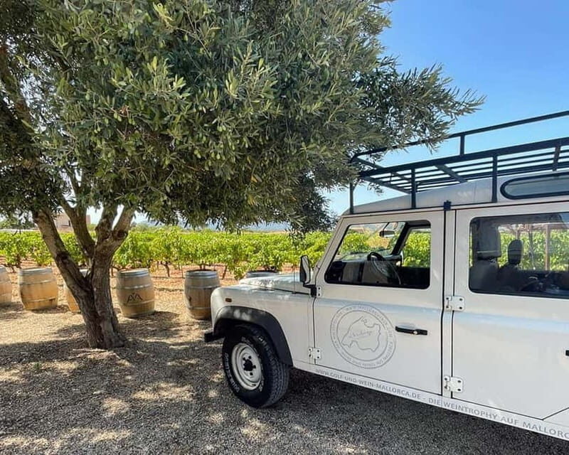 HISTORICAL BODEGA TOUR AND WINE TASTING - The Journey Through Mallorca’s Winemaking Heritage