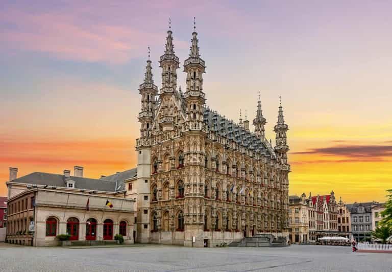 Historical Leuven: Private Tour with Local Guide - Why This Tour Is Worth Considering