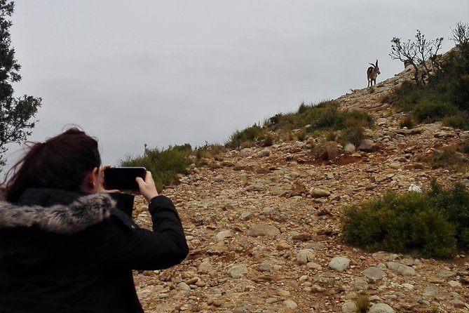 Historical Montserrat Half-Day Hiking Tour From Barcelona - Guest Reviews