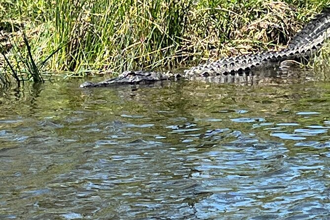 Historical Scenic Bayou Swamp Water Trail Kayak Tour - Good To Know