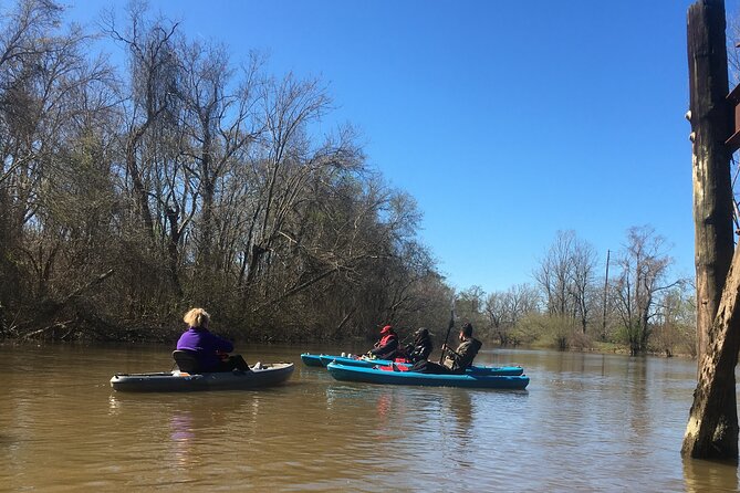 Historical Scenic Bayou Swamp Water Trail Kayak Tour - Kayaking Essentials: What to Expect on Your Tour