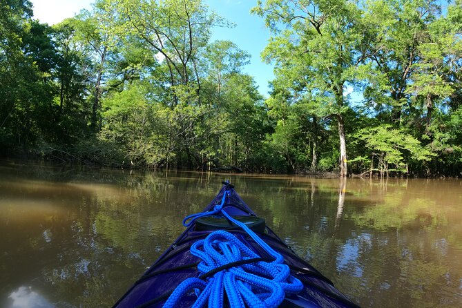 Historical Scenic Bayou Swamp Water Trail Kayak Tour - Safety First: Guidelines for a Secure Experience