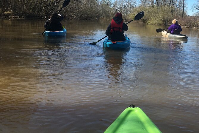 Historical Scenic Bayou Swamp Water Trail Kayak Tour - What to Bring and Wear for Your Kayak Tour