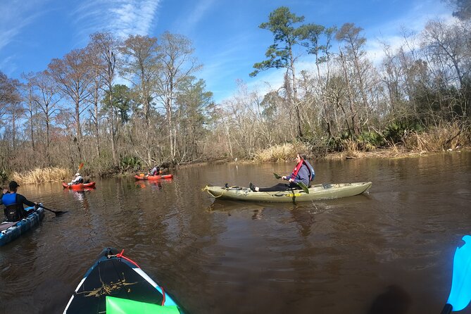 Historical Scenic Bayou Swamp Water Trail Kayak Tour - The Sum Up