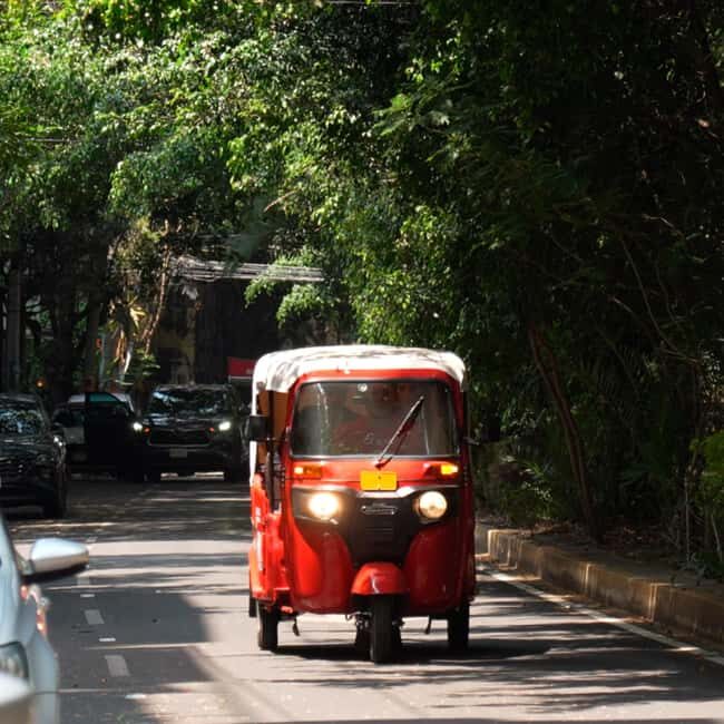 Historical Tour in Tuktuk Roma Condesa - Key Points
