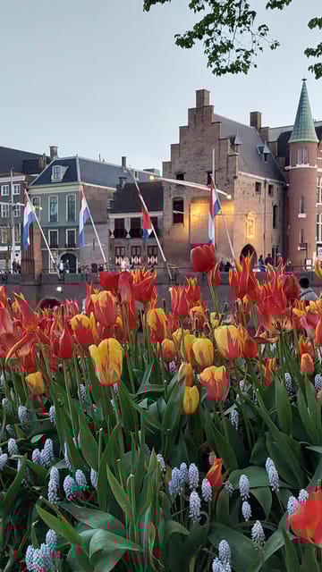 Historical Tour of The Hague - Exploring The Hague’s Political Heart