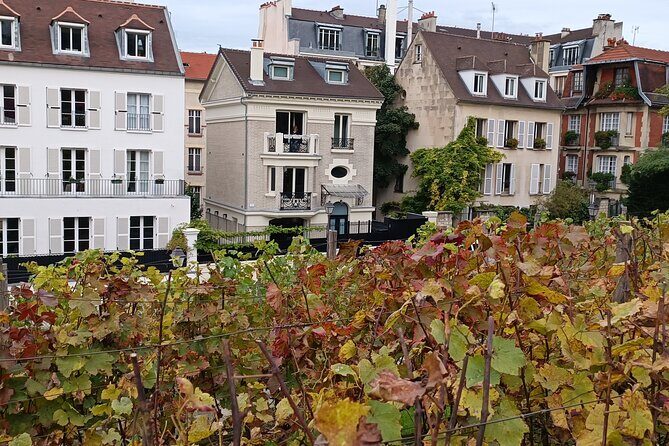 History and Culture of Montmartre with Interactive Animations - The Vigne du Clos Montmartre: A Unique Vineyard