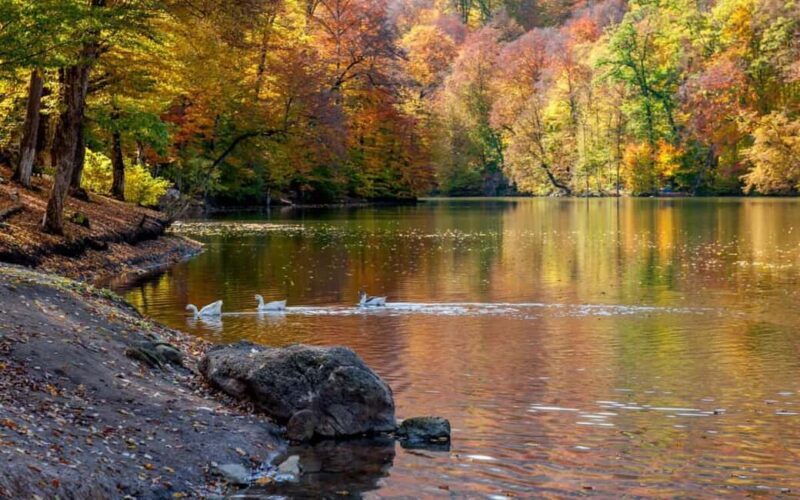 History and nature: Sevan lake, Dilijan, Tsaghkadzor - Key Points