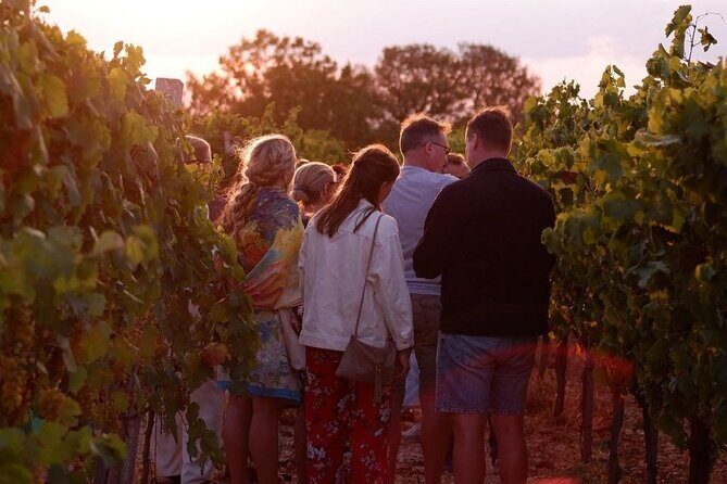 History & Local Wines: Amphitheater, Mitrium and Winery Visit - Who Should Book This Tour?