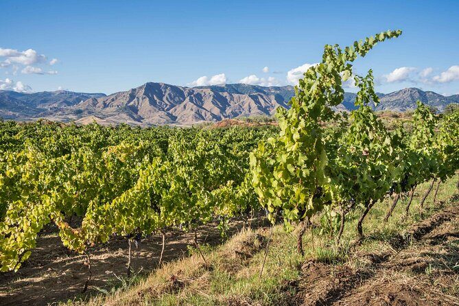 History & Local Wines: Amphitheater, Mitrium and Winery Visit - The Sum Up