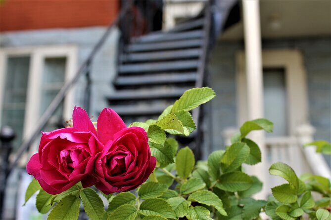 History of Levis and Tasting at the Ostara Market - Who Is This Tour Best For?